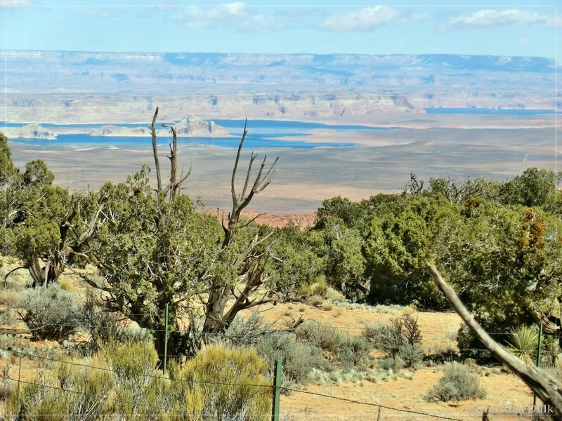 Nordöstliche Overlooks - Vermilion Cliffs NM