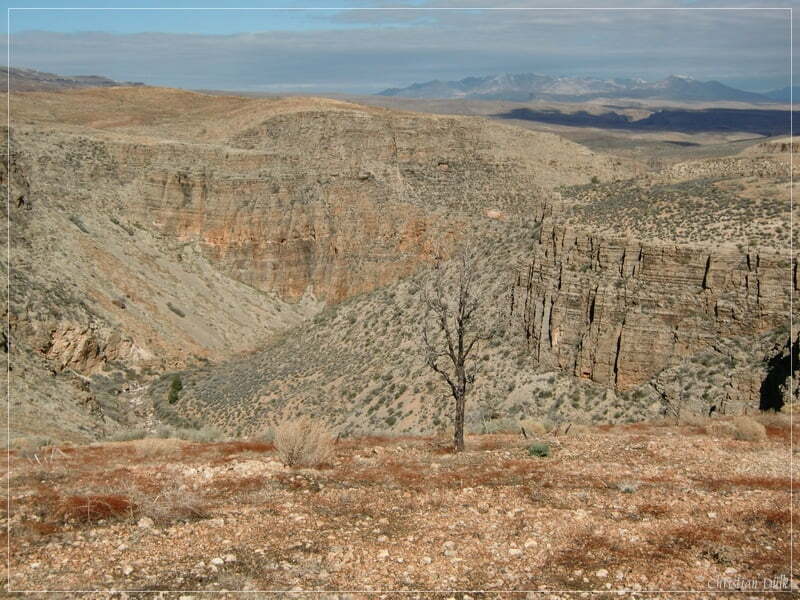 Black Rock Mountain Road, Arizona Strip, AZ