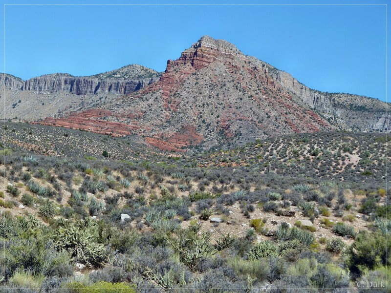 Grand Gulch Mine - Arizona Strip