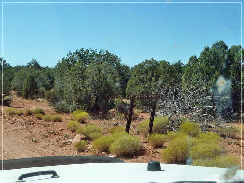 Grand Gulch Mine - Arizona Strip